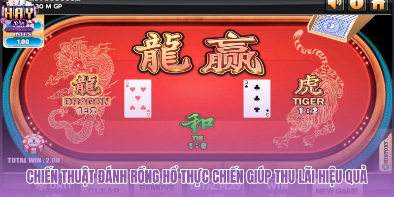 chien-thuat-danh-rong-ho-thuc-chien-giup-thu-lai-hieu-qua