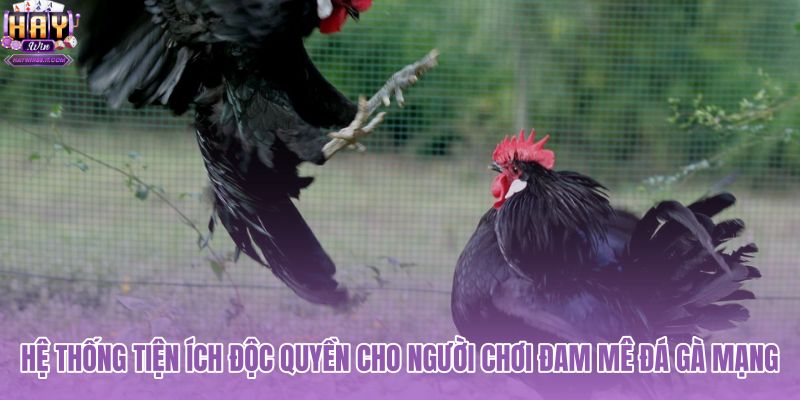 he-thong-tien-ich-doc-quyen-cho-nguoi-choi-dam-me-da-ga-mang