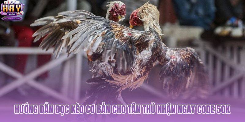 huong-dan-doc-keo-co-ban-cho-tan-thu-nhan-ngay-code-50k