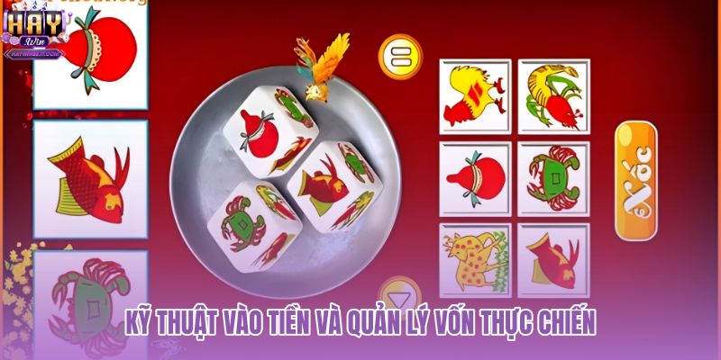 ky-thuat-vao-tien-va-quan-ly-von-thuc-chien ky-thuat-vao-tien-va-quan-ly-von-thuc-chien