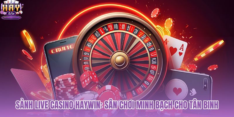 sanh-live-casino-haywin-san-choi-minh-bach-cho-tan-binh