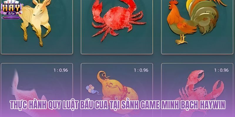 thuc-hanh-quy-luat-bau-cua-tai-sanh-game-minh-bach-haywin thuc-hanh-quy-luat-bau-cua-tai-sanh-game-minh-bach-haywin
