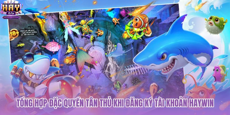 tong-hop-dac-quyen-tan-thu-khi-dang-ky-tai-khoan-haywin