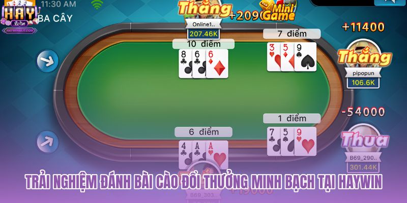 trai-nghiem-danh-bai-cao-doi-thuong-minh-bach-tai-haywin