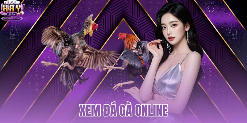 Xem đá gà online